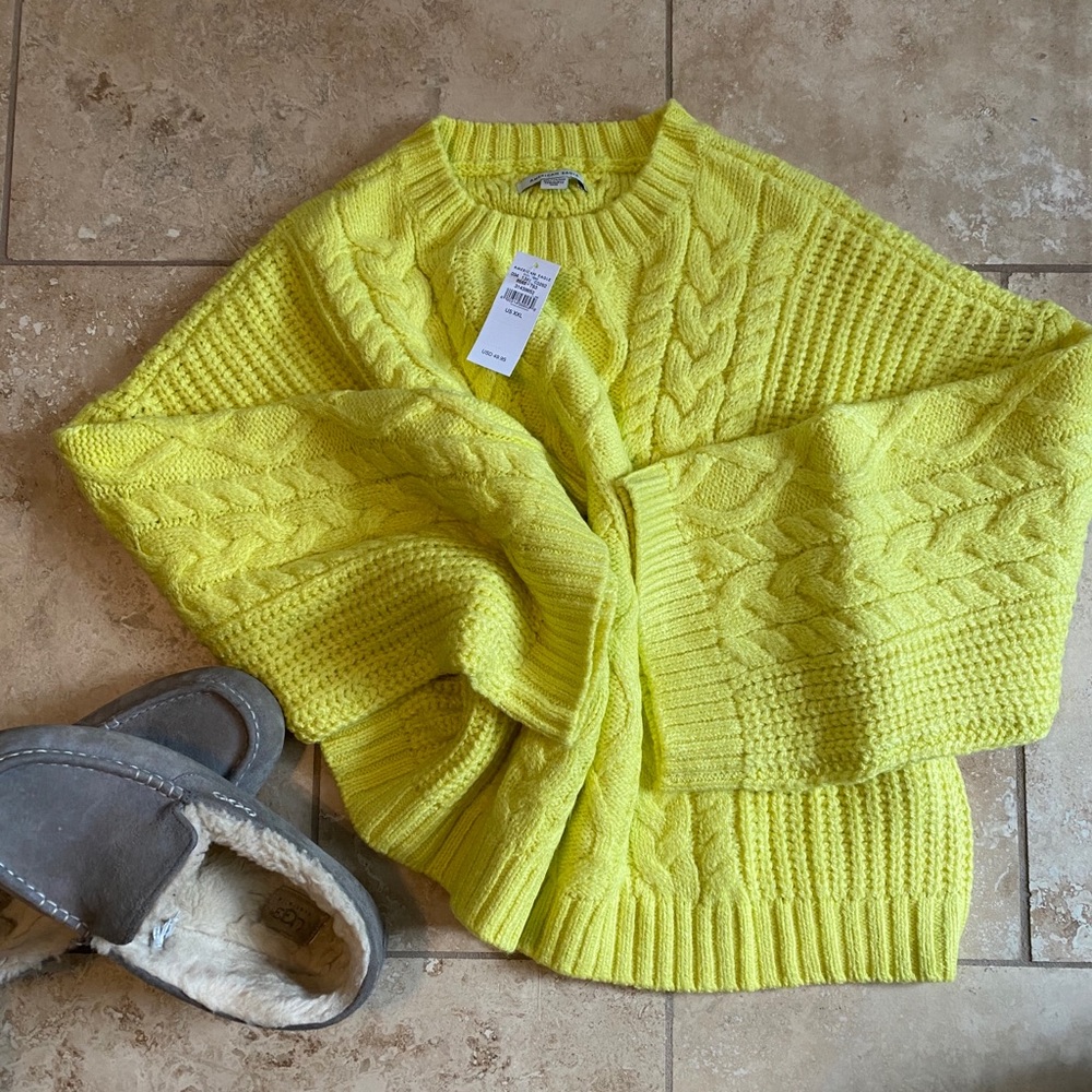 Brand New American Eagle Cropped Sweater